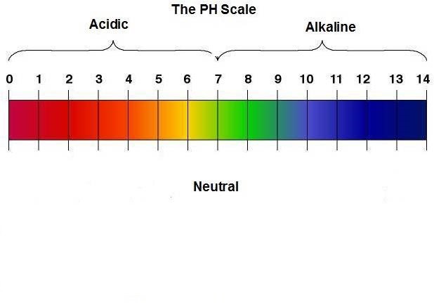 PH Scale